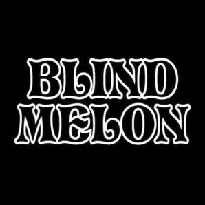 blind melon tickets songkick 2021 tour