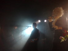 Animal Alpha Concert Tickets - 2026 Tour Dates.