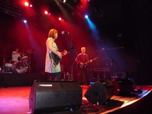 the vaselines tour