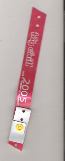 The Big Chill Festival 2005