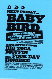 Babybird Concert Tickets - 2026 Tour Dates