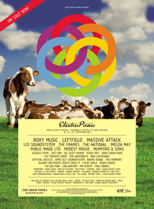 Electric Picnic 2010