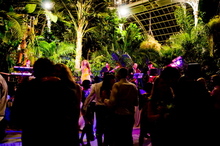 Palm House, Sefton Park, Liverpool