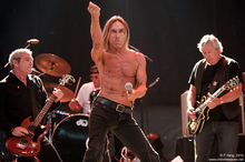 その他 Tribute Concert With Iggy &amp; the Stooges &amp; Special [DVD] IGGY & THE STOOGES - Born In A Trailer: The Session