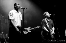 The English Beat Concert Tickets - 2026 Tour Dates.