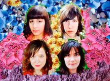 Wild Flag Concert Tickets - 2026 Tour Dates.