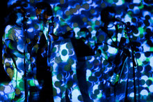 The Stepkids Concert Tickets - 2026 Tour Dates.