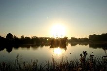 Huntingdon Mill Hill Field, Huntingdon