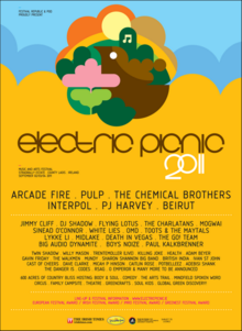 Electric Picnic 2011