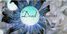 The Dead Flowers Concert Tickets - 2026 Tour Dates