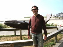 Patrick Shea Concert Tickets - 2026 Tour Dates.