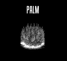 Palm Concert Tickets - 2026 Tour Dates.
