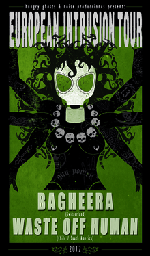 Bagheera Concert Tickets - 2026 Tour Dates