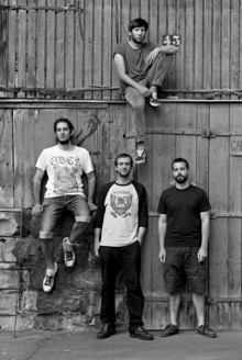 Bagheera Concert Tickets - 2026 Tour Dates