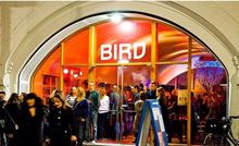 BIRD, Rotterdam
