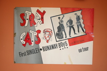 download stray cats live for free