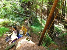 Dragontime Concert Tickets - 2026 Tour Dates.