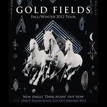 Gold Fields Concert Tickets - 2026 Tour Dates.