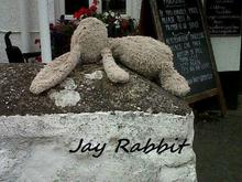 Jessica Rabbit Concert Tickets - 2026 Tour Dates.