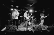 The Nuts Concert Tickets - 2026 Tour Dates