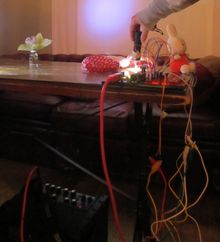 rotten bliss Concert Tickets - 2026 Tour Dates.