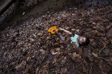 Ell Sol Concert Tickets - 2026 Tour Dates.