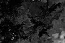 Surgeon Concert Tickets - 2026 Tour Dates