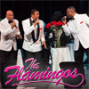 The Flamingos Concert Tickets - 2026 Tour Dates.