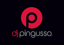 DJ PINGUSSO Concert Tickets - 2026 Tour Dates