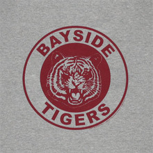 BaysideSounds Concert Tickets - 2026 Tour Dates.