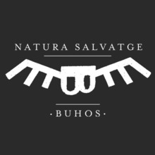 Buhos Concert Tickets - 2026 Tour Dates.