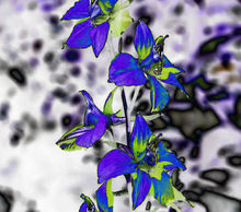 Levity Concert Tickets - 2026 Tour Dates