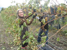 Ten Spoon Winery, Missoula
