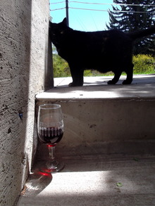 Ten Spoon Winery, Missoula