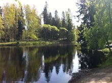 Törnävänsaari, Seinäjoki