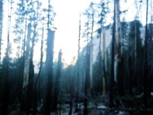 Hutch Concert Tickets - 2026 Tour Dates.