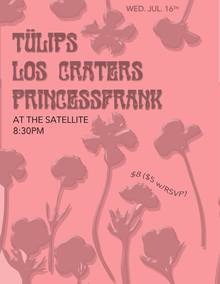 Princessfrank Concert Tickets - 2026 Tour Dates