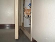 Surrogate Concert Tickets - 2026 Tour Dates