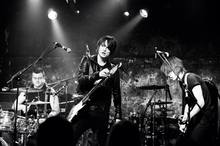 Trampolene Concert Tickets - 2026 Tour Dates.