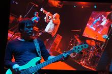 Nighthawks (GERMANY) Concert Tickets - 2026 Tour Dates