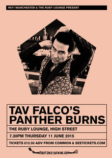 tav falco tour 2023