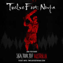 twelve foot ninja shirt