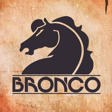 Bronco Concerts Tickets, 2023-2024 Tour Dates & Locations