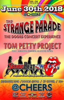 Tom Petty Project live.