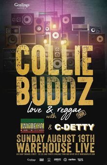 collie buddz tour playlist