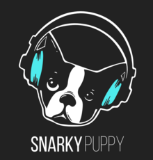 Snarky Puppy Tickets Tour Dates Concerts 2021 2020