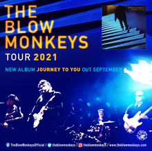 The Blow Monkeys Tickets, Tour Dates & Concerts 2024 & 2023 – Songkick