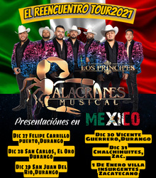 MONTES DE DURANGO, ALACRANES MUSICAL