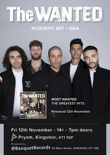 the wanted tour dates