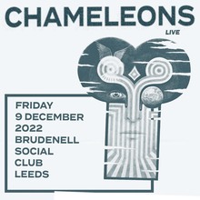 chameleons tour 2024